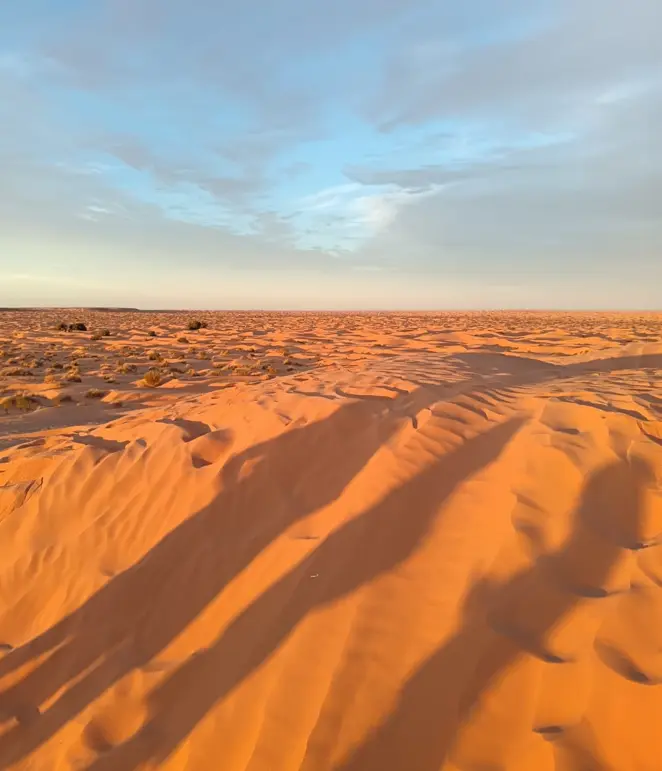 Capture d’écran 2026-01-29 114723