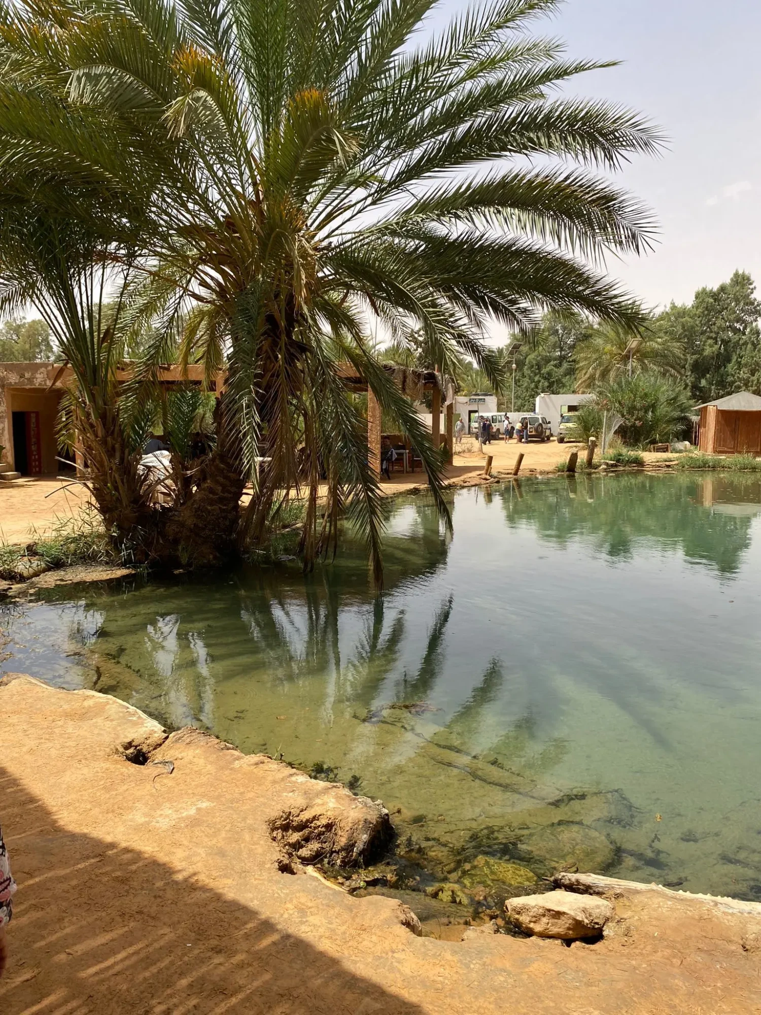 WhatsApp Image 2026-01-27 at 10.44.45