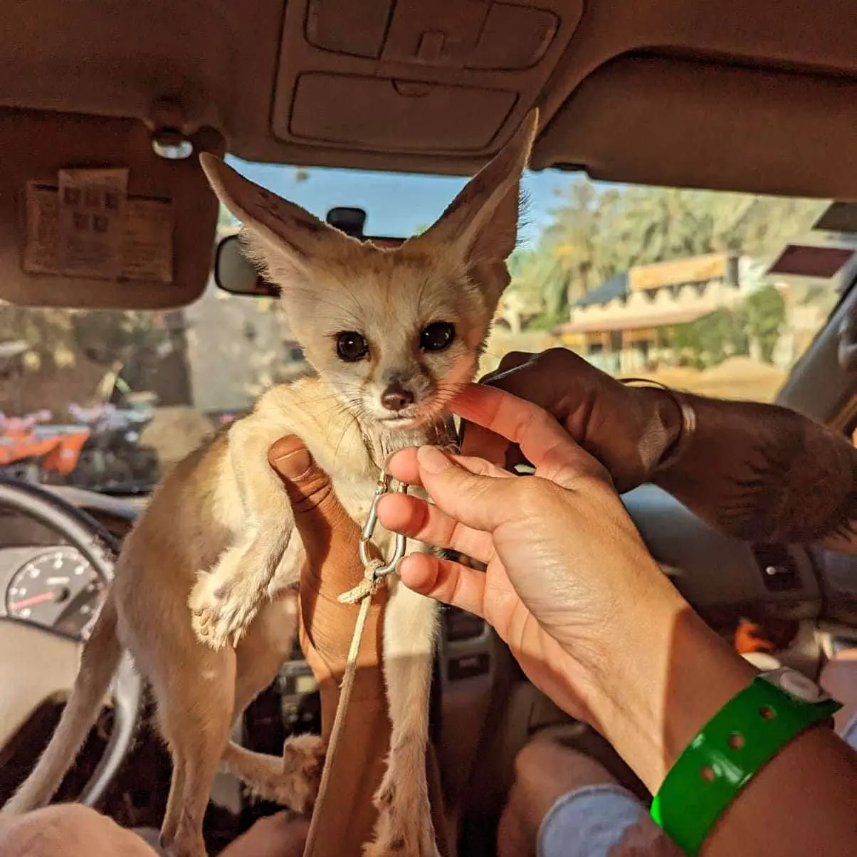 whatsapp-image-2026-01-27-at-10-47-25-2