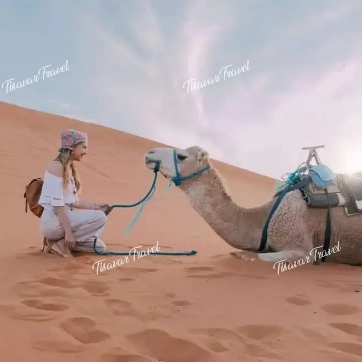 311074460_5422192961230667_4067765690122632057_n