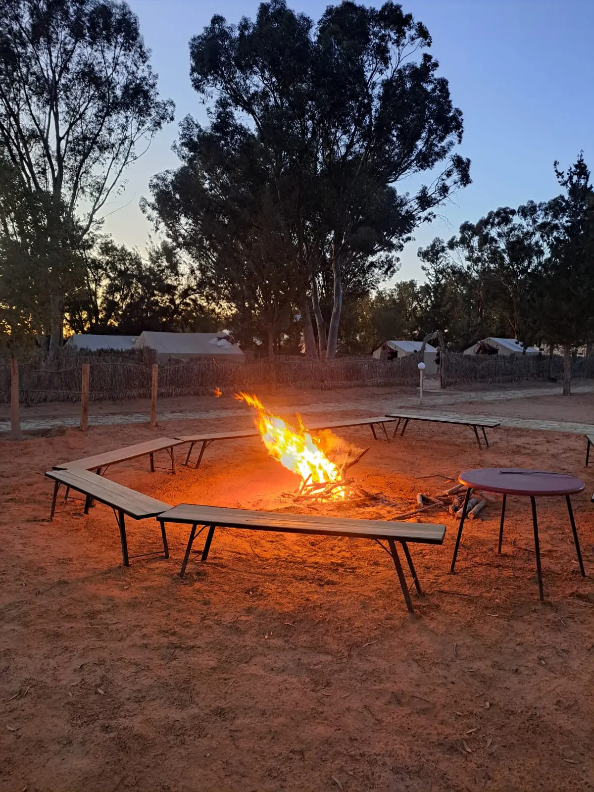 WhatsApp Image 2026-01-27 at 10.33.08