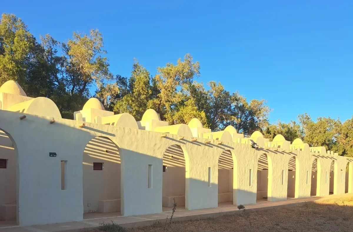 WhatsApp Image 2026-01-27 at 10.34.04