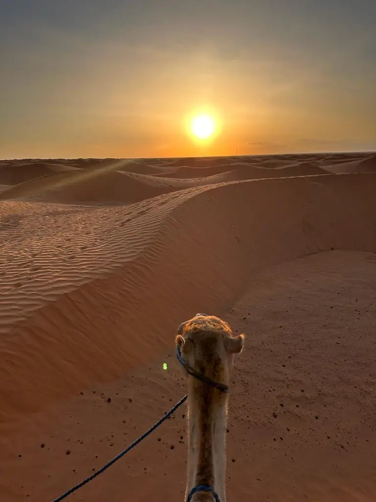 WhatsApp Image 2026-01-27 at 10.54.01